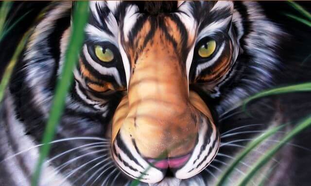 Tiger Eyes — Bengal Tiger by Thomas D. Mangelsen