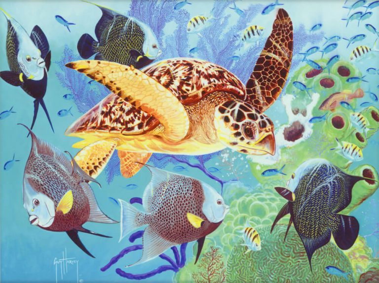 The science of Guy Harvey art - Park West Artists