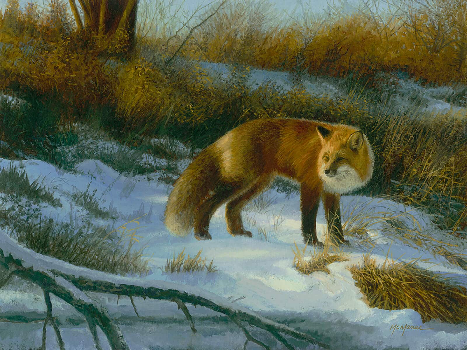 Encountering Wildlife with Artist Pat McManus - Park West Gallery