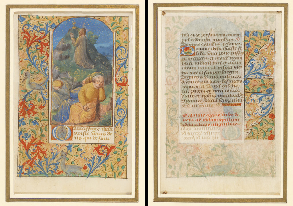 medieval illuminated manuscripts natur