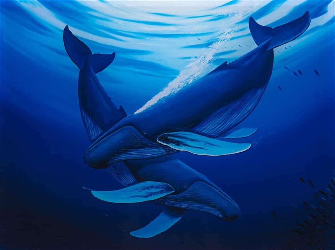 A Wyland painting of a whale at Pier 39 Fisherman s Wharf San