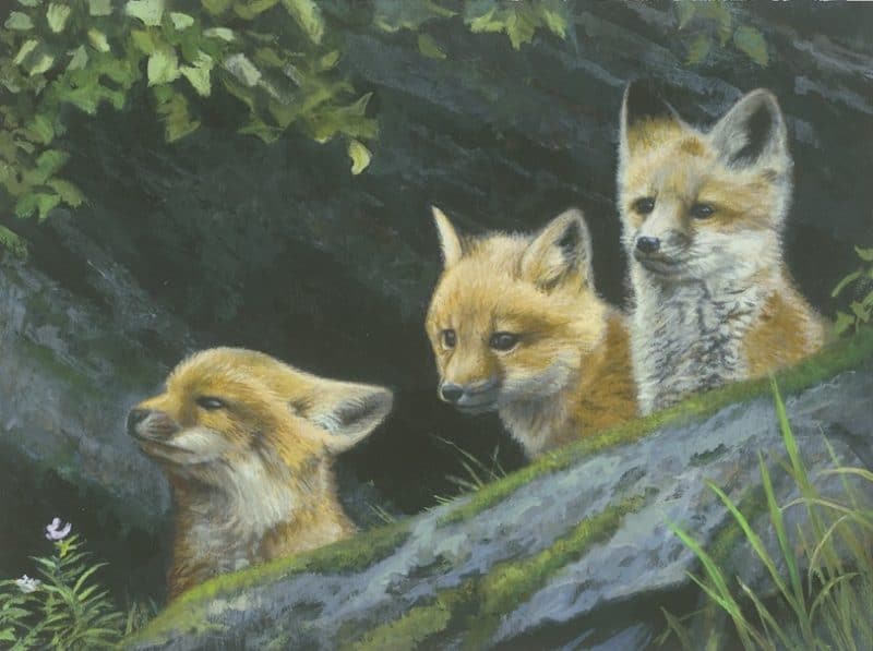 Artist Pat McManus: Painting the Softer Side of Nature